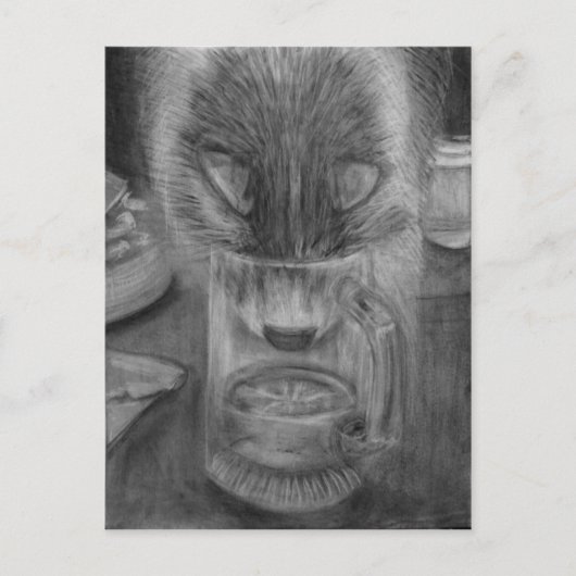 猫飲料水かわいいオリジナル炭スケッチ ポストカード (正面)