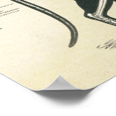 猫骨格系ボーン解剖図 ポスター (角)