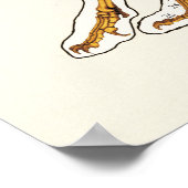 猫骨格関節解剖学的獣医図 ポスター (角)