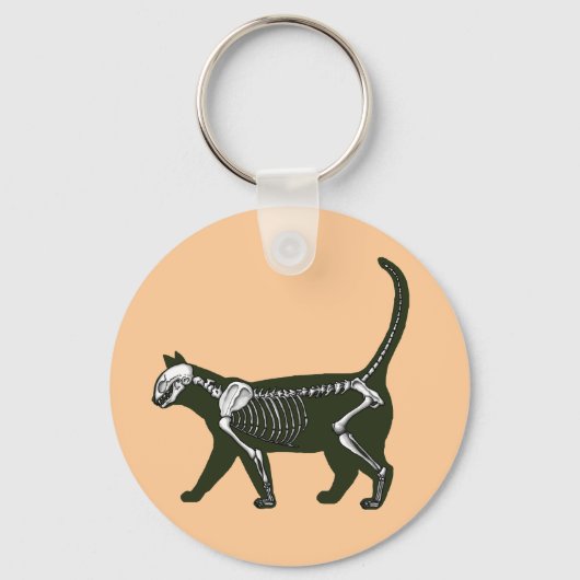 猫骨格 キーホルダー (正面)