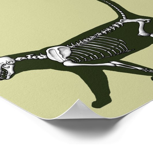 猫骨格 ポスター (角)