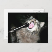 猫鳴き ポストカード (正面/裏面)