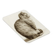 猫黒白ペンシルスケッチ マグネット (右側)