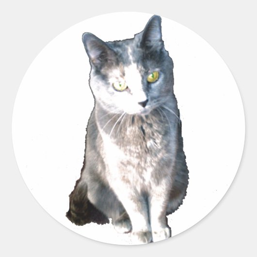 猫11シール ラウンドシール (正面)