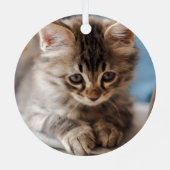 猫2おもしろい写真クリスマス メタルオーナメント (裏面)
