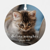 猫2おもしろい写真クリスマス メタルオーナメント (正面)