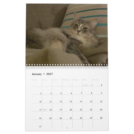 猫2015年Marlowe、Peepersの及びGryphon カレンダー (1月 2027)