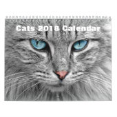 猫2017 カレンダー (カバー)