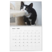 猫2027 カレンダー (3月 2027)