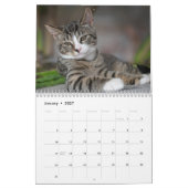 猫2027 カレンダー (1月 2027)