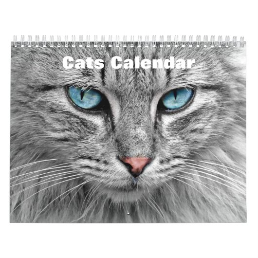 猫2027 カレンダー (カバー)