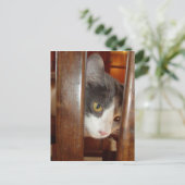 猫27 ポストカード (スタンド正面)