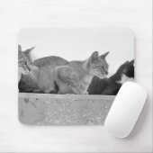 猫3匹 マウスパッド (マウス)