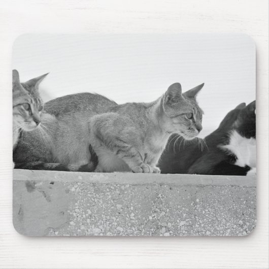 猫3匹 マウスパッド (正面)