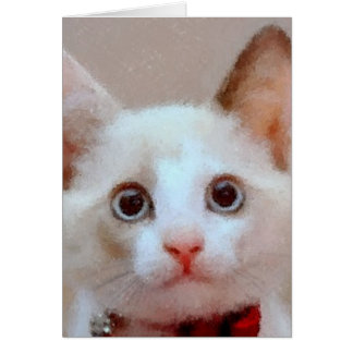 猫3
