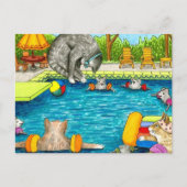 猫383 ポストカード (正面)