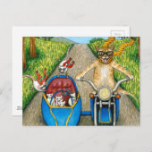 猫384 ポストカード (正面/裏面)