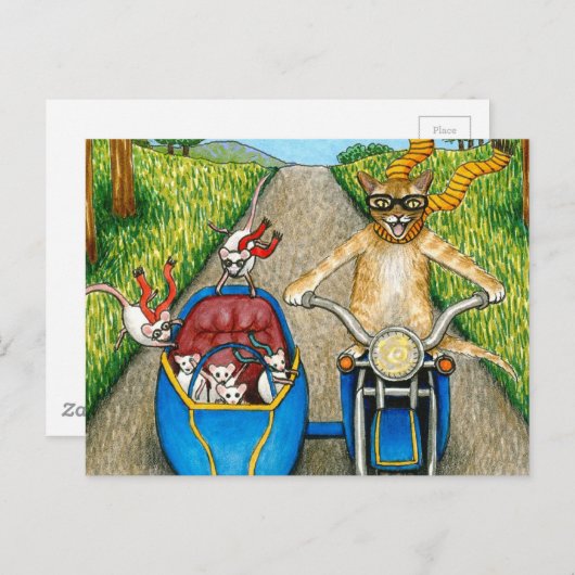 猫384 ポストカード (正面/裏面)