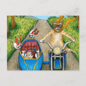 猫384 ポストカード (正面)