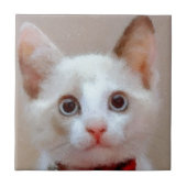 猫3 タイル (正面)