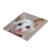猫3 タイル (側面)