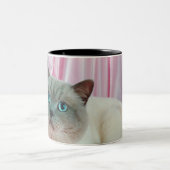 猫4のポートレート ツートーンマグカップ (中央)