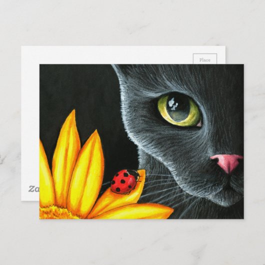 猫510 ポストカード (正面/裏面)