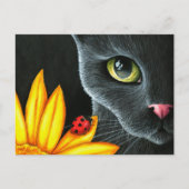 猫510 ポストカード (正面)