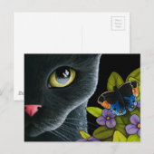 猫557 ポストカード (正面/裏面)