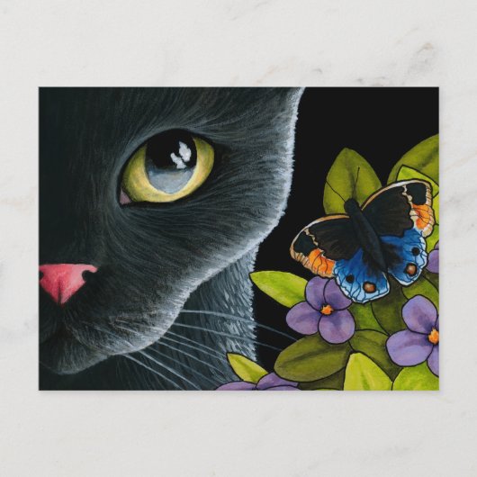 猫557 ポストカード (正面)