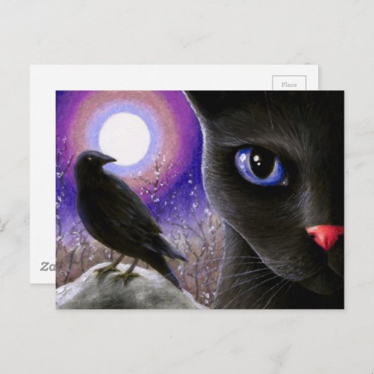 猫570 ポストカード (正面/裏面)