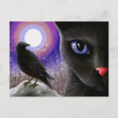 猫570 ポストカード (正面)