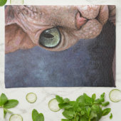 猫578 Sphynx キッチンタオル (折り畳み)