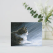 猫594 ポストカード (スタンド正面)