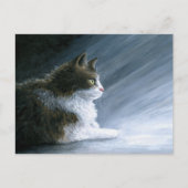 猫594 ポストカード (正面)