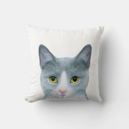 猫611 クッション