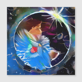 猫6 - 太陽の eclipse