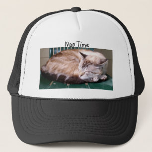 猫7、昼寝時間、帽子 キャップ