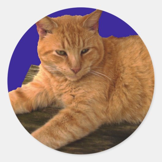 猫8、ステッカー ラウンドシール (正面)