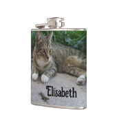 猫，かわいい，ペット，グレー，毛皮，国内，ネコ，あなた フラスク (左)