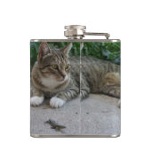 猫，かわいい，ペット，グレー，毛皮，国内，ネコ，あなた フラスク (裏面)