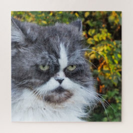 猫,かわいい,ペット,グレー,毛皮,国内,ネコ, ジグソーパズル