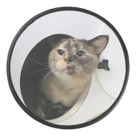 猫 アイスホッケーパック (正面)