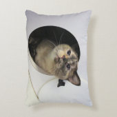 猫 アクセントクッション (正面(垂直))