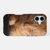猫 アップル iPhone 16 ケース (裏面横)