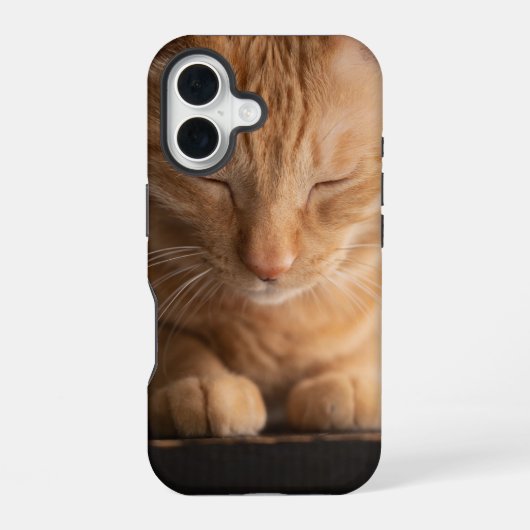 猫 アップル iPhone 16 ケース (裏面)