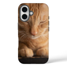 猫 アップル iPhone 16 ケース