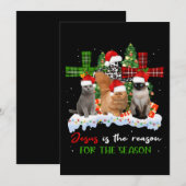 猫 イエスはこの季節の理由 クリスマス ダサい 招待状 (正面/裏面)