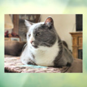 猫 ウィンドウサイン (シート3)