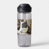 猫 ウォーターボトル (背面)
